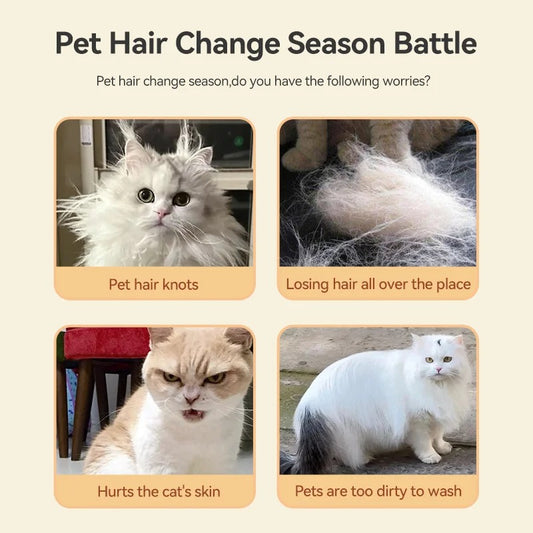 Pet Steam Brush