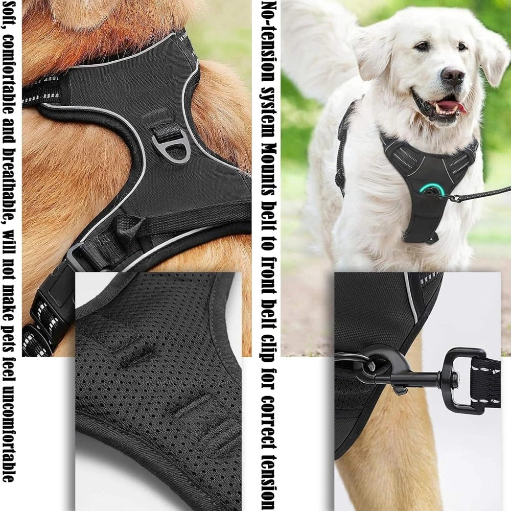 Dog Harness