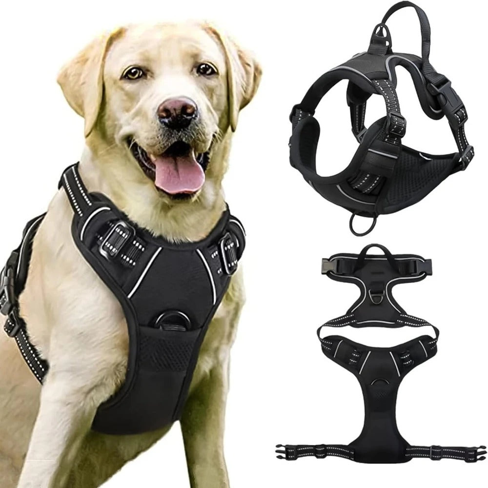 Dog Harness