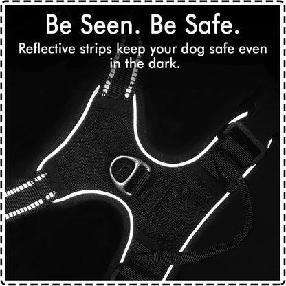 Dog Harness