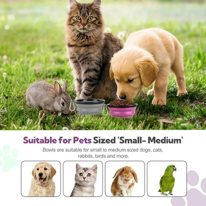 Folding Portable Dog Bowl