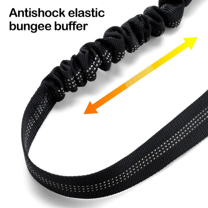 Dog Seatbelt for Car