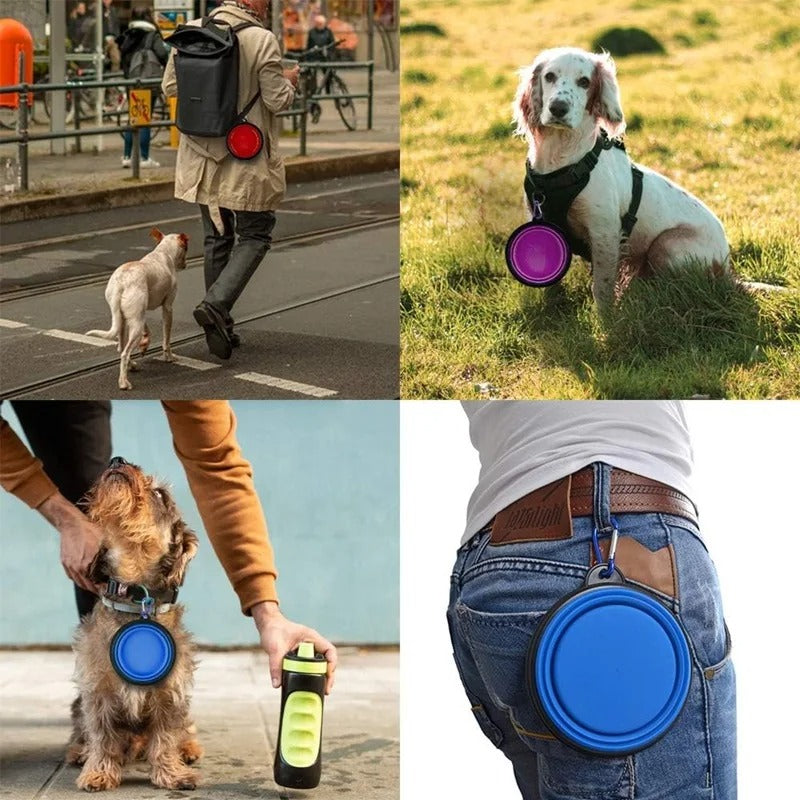 Folding Portable Dog Bowl