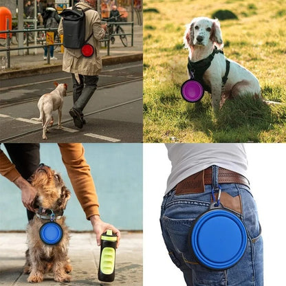 Folding Portable Dog Bowl