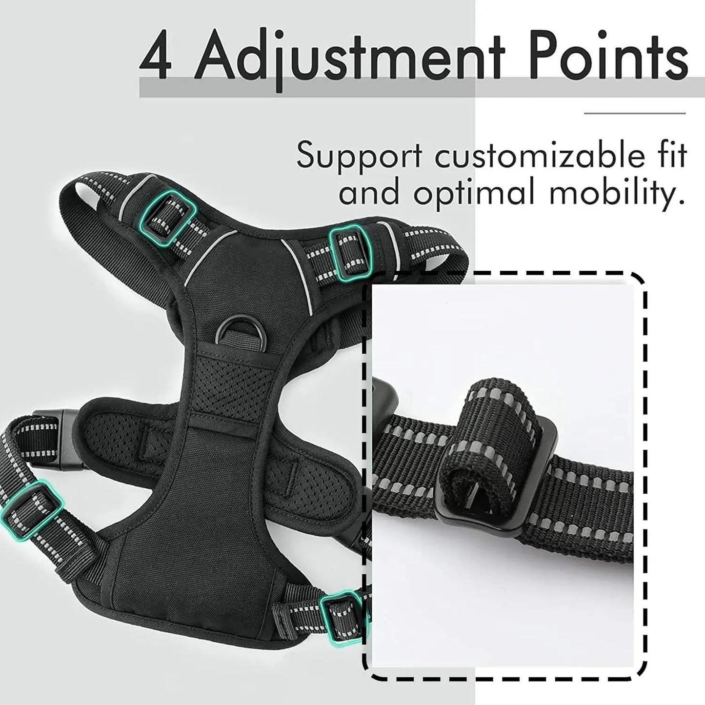 Dog Harness