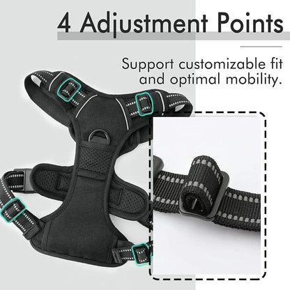 Dog Harness
