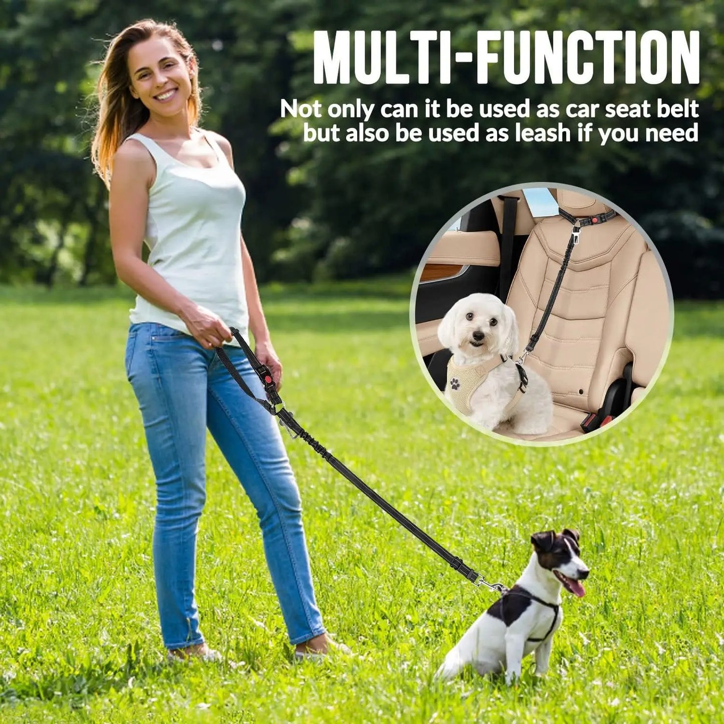Dog Seatbelt for Car