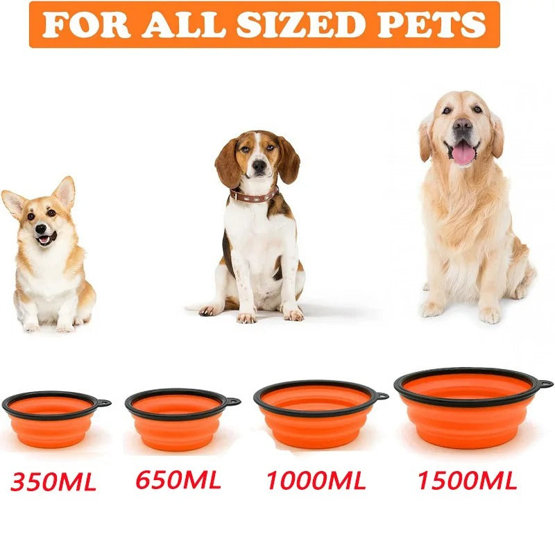 Folding Portable Dog Bowl