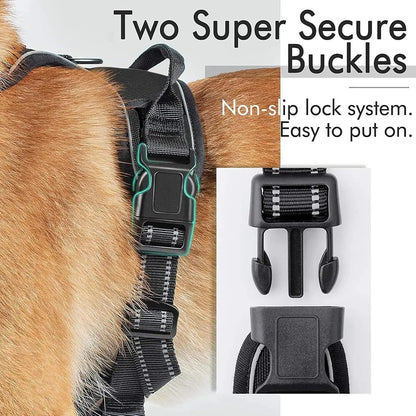 Dog Harness