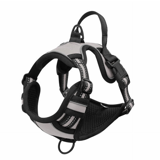 Dog Harness